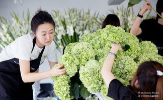 25年老牌花店的利潤常青藤 從零售拓展至酒店、宴會與景觀工程