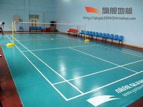 河北保定運(yùn)動(dòng)地板 旗艦pvc塑膠地板 室內(nèi)運(yùn)動(dòng)地板 公司網(wǎng)址 http www.yundongdiban.com高清圖片 高清大圖