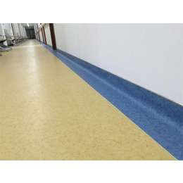 海南塑膠地板公司、海南塑膠地板、君衡(查看)